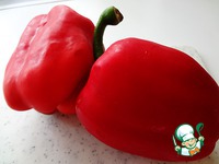 ����� � ������������ ������, �������� � �������� �����������