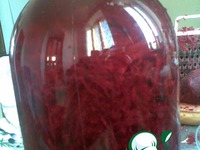 ���������� ���� �����������