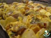 ���� � ������ �����������