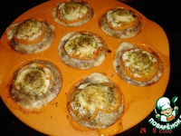 ������� �� ����� � ������ �������� �����������