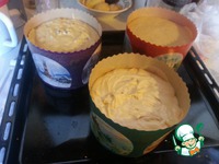 ����� ��������� � ������� ������������ �����-������ �����������