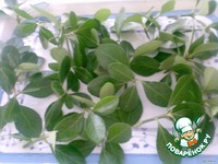 ������� "�������" �����������