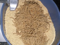 �������� "��������" �����������