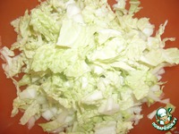 ����� � ����������� �������� "�������" �����������