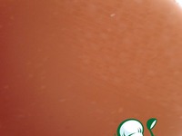 ��������� ������ �� ���� �����������