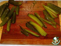 ����� "��������" �����������