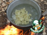 ���� ������ �����������