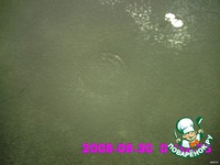 ��� ���� �����������