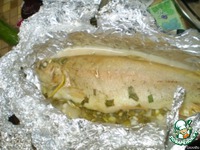 ���� � ������ �����������