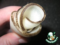 "�����" �� ������ ������ �����������