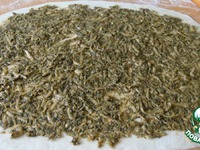 ���������  "�������" �����������