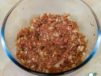 ���� ����� �����������