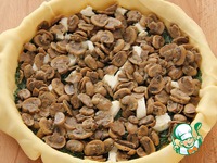 ����� ��-������������ �����������