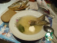 ��� �� ������� �����������