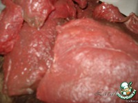 "������ ������! ������ ����!" - ������� �����������