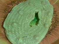 ����� �����������