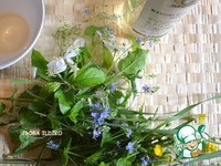 ����� � ����� ������� � � ������ �����������