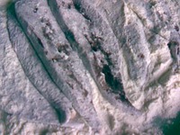 ������ � ���� �����������