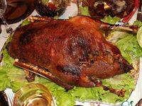 ���� ����������� �����������