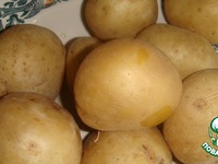 ������������ ������ �����������