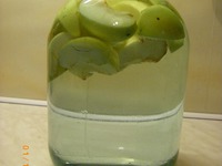 ����� �������� �����������