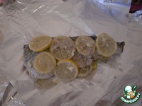 ������ ������ � ������ �����������