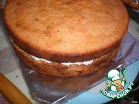 ���� "�����" �����������