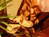 �������� ���� �����������