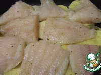 ���� ���� ��� ������ ����������� - ������ ������ �����������