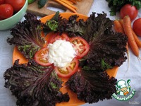 ������� ������� "���������" �����������