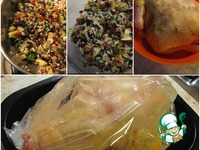 ������ ����������� �����������