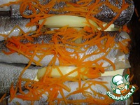 ���� � �������� � ������� �����������