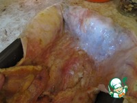 ������ � ����� � �������� ���������� �����������