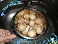 ����� � ����� �����������