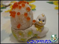 ������� ���� �����������