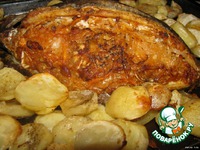 �����e���� ��� "�������" �����������