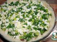 ������������ ����� "�����" �����������