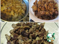 ������ � ����� � �������� ���������� �����������