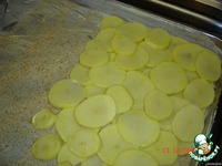 ���������"������������" �����������