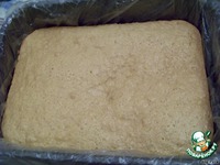 ���� ��������� ������� �����������