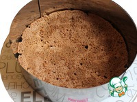 ���� ���������-��������� �����������