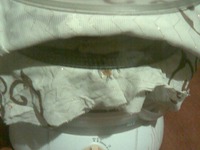 ����� �����������