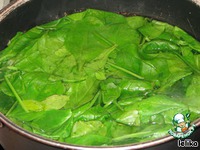 ������ ������ �����������