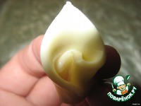 ����� "�����" �����������