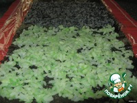 ����� "�������" �����������