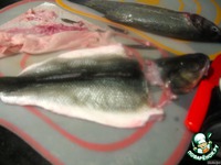 ������ �� ���� ������ � ��������� ����������� �����������