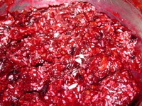 ������  "����������" �����������