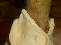 ������� ������� � ������� �����������