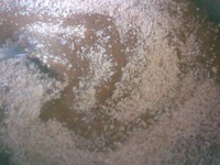 ������� ��... ��������� �����������