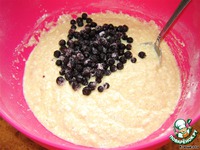 ������ � �������� �����������